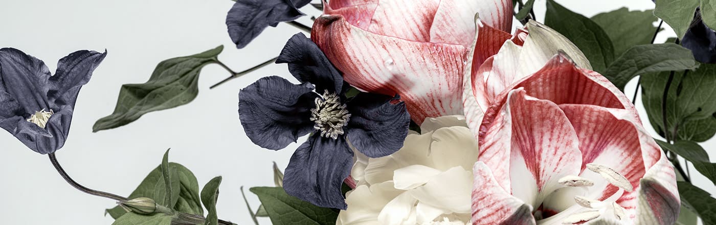 �L���������z�M�T�C�g��r